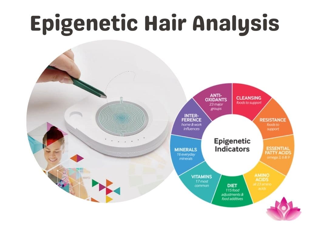 Epigenetic Hair Analysis infographic: hair strands collected with tweezers onto a testing device, beside a wheel of epigenetic indicators covering vitamins, minerals, amino acids, fatty acids, antioxidants, diet and environmental influences