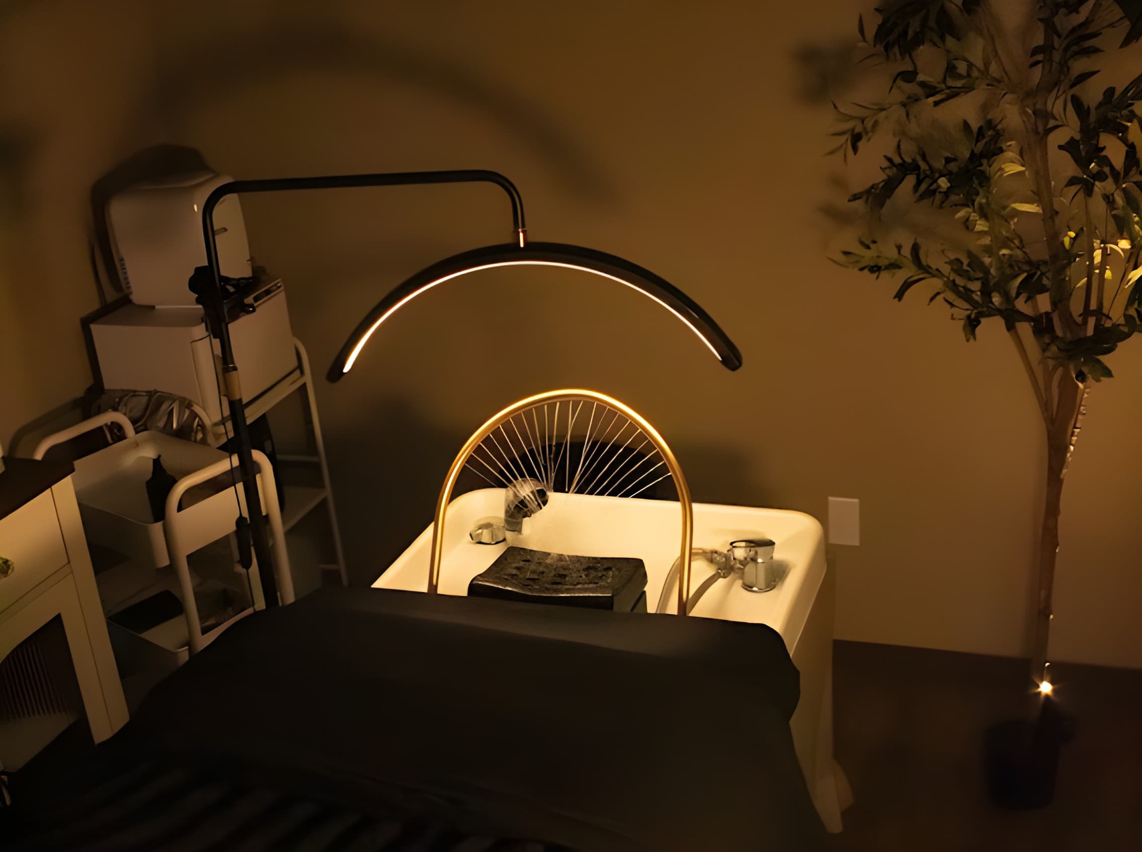 The Serenity Scalp Spa treatment room in Temecula: the gold halo-ring waterfall arc over the basin, the arc light above it and the steamer on the cart, the setup students learn to run